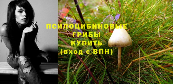 СК Дмитриев
