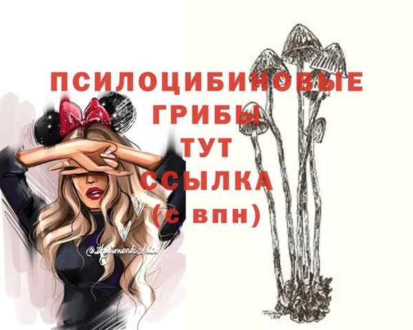 бошки Анива