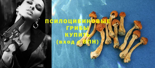 ECSTASY Дмитров
