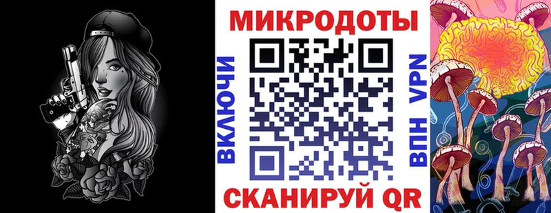 Псилоцибиновые грибы Psilocybine cubensis  Кировград 