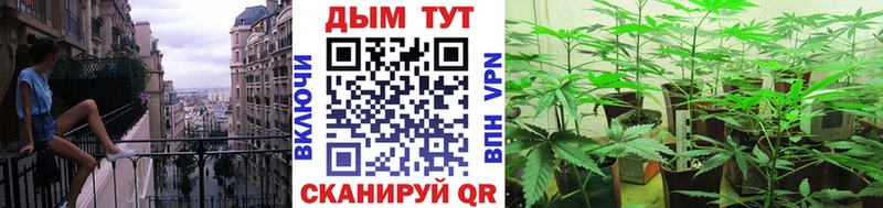 ОМГ ОМГ как зайти  Кировград  Бошки Шишки семена 